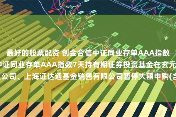 最好的股票配资 创金合信中证同业存单AAA指数7天持有期: 创金合信中证同业存单AAA指数7天持有期证券投资基金在玄元保险代理有限公司、上海证达通基金销售有限公司暂停大额申购(含定期定额投资)、大额转换转入业务的公告